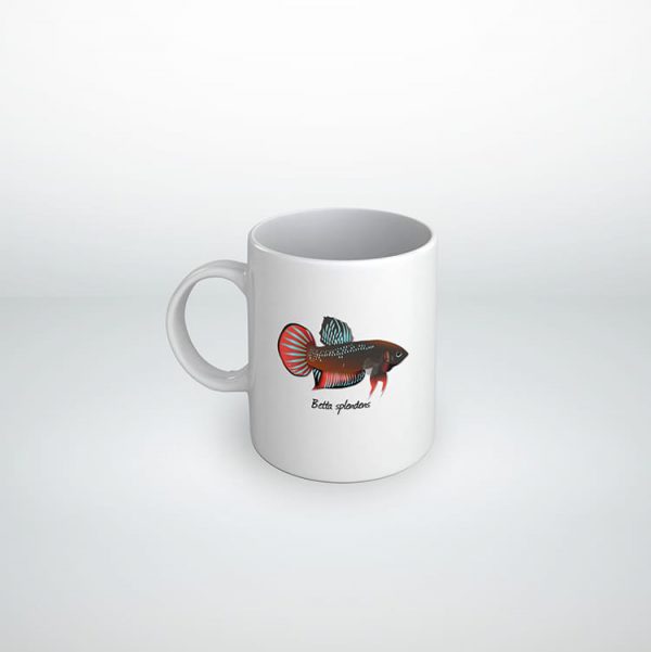 Taza Betta splendens