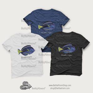 Camisetas de Hombre Paracanthurus hepatus