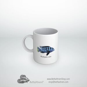 Taza Pseudotropheus saulosi