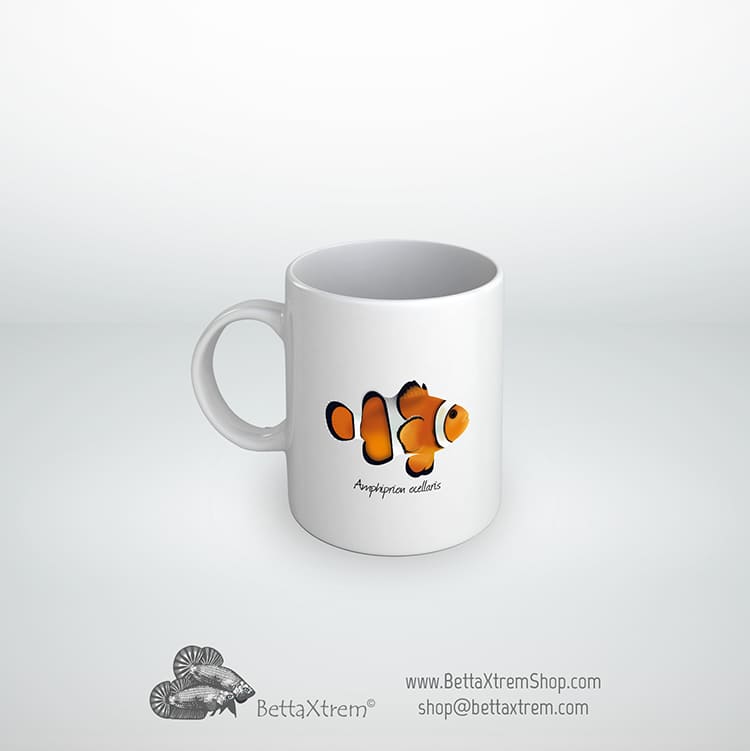 Taza Amphiprion ocellaris