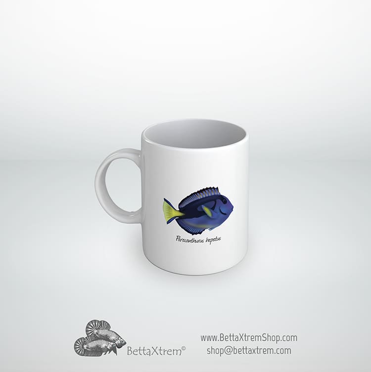 Taza Paracanthurus hepatus