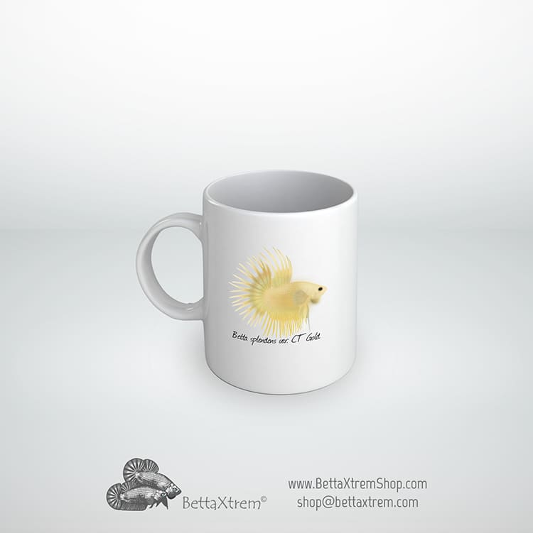 Taza Betta splendens ctpk gold
