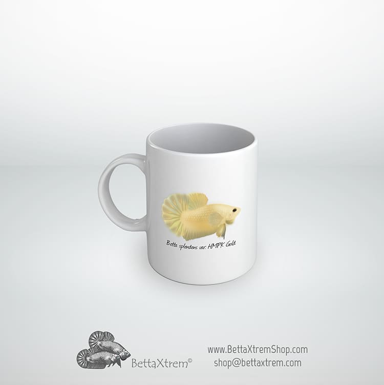Taza Betta splendens halfmoon plakat hmpk gold