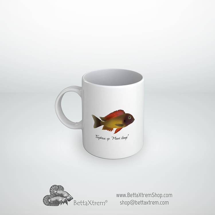Taza Tropheus sp "Moori ilangi"