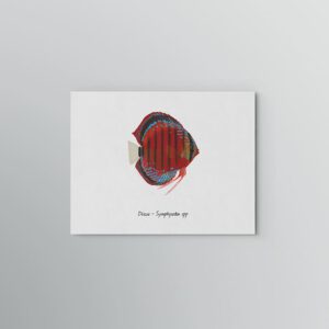 Lámina Discus Symphysodon 1