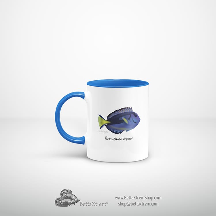 Taza Azul Paracanthurus hepatus