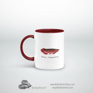 Taza Granate Arowana - Scleropages formosus 3