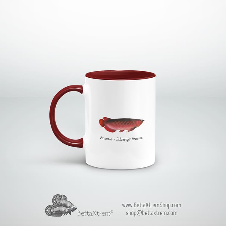 Taza Granate Arowana - Scleropages formosus 3