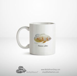 Taza Astronotus ocellatus albino 1