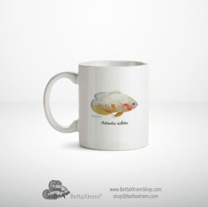 Taza Astronotus ocellatus albino 2
