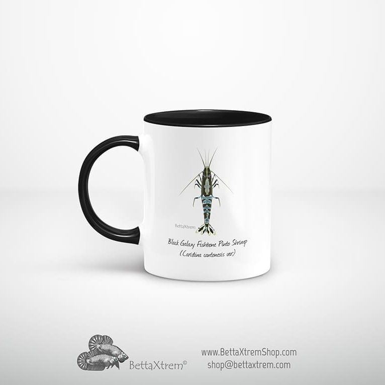 Taza Negra de Gamba Black Galaxy