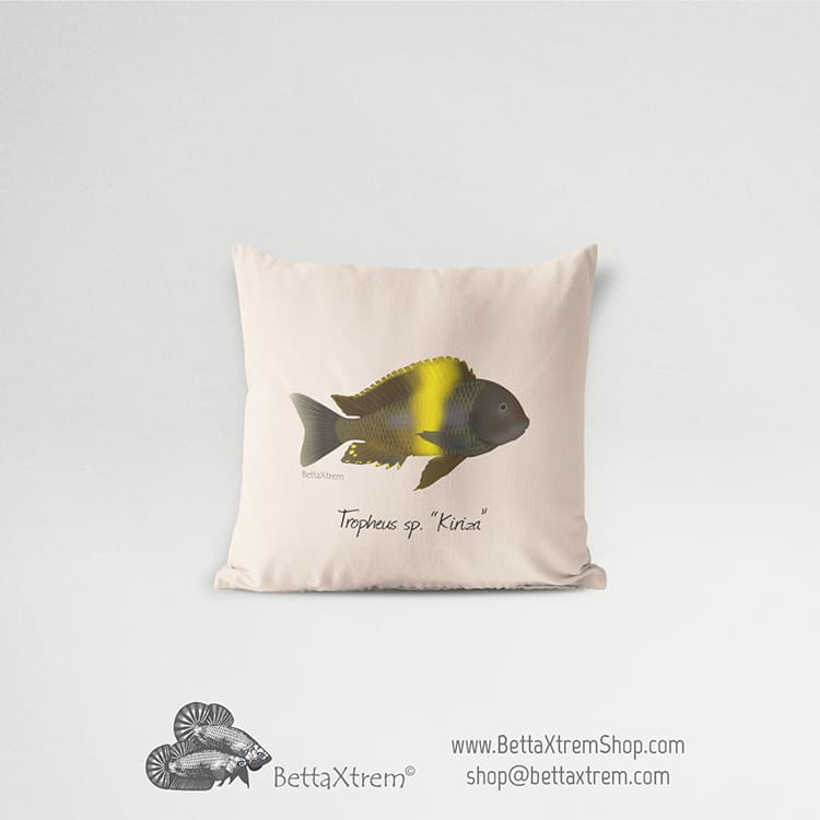 Funda de Cojín Tropheus sp “Kiriza”