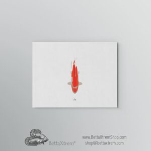 Lámina Carpa Koi 10