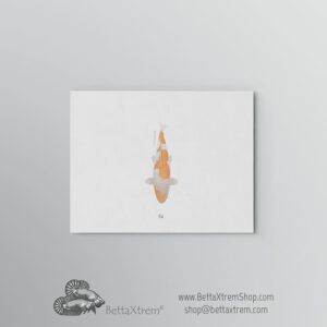 Lámina Carpa Koi 9