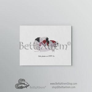 Lámina Betta splendens halfmoon plakat koi